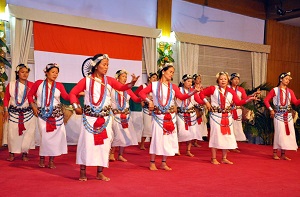 Cultural presentation of Nyishi Tribe from Papum Pare District on the occasion of Communal Harmony-Our Pride, Our Strength�, at Darbar Hall, Raj Bhavan, Itanagar on 19th February 2016.